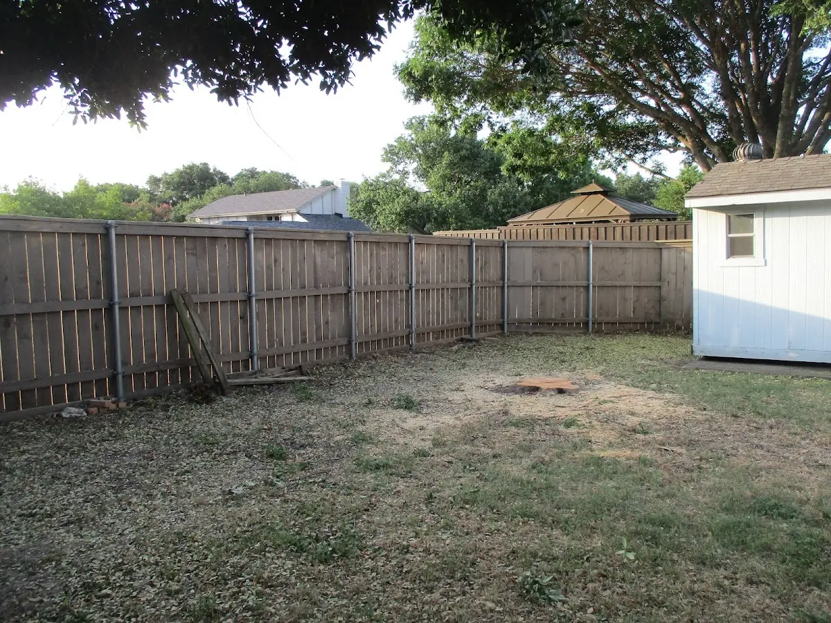Cleared yard after professional tree removal in Forest Grove